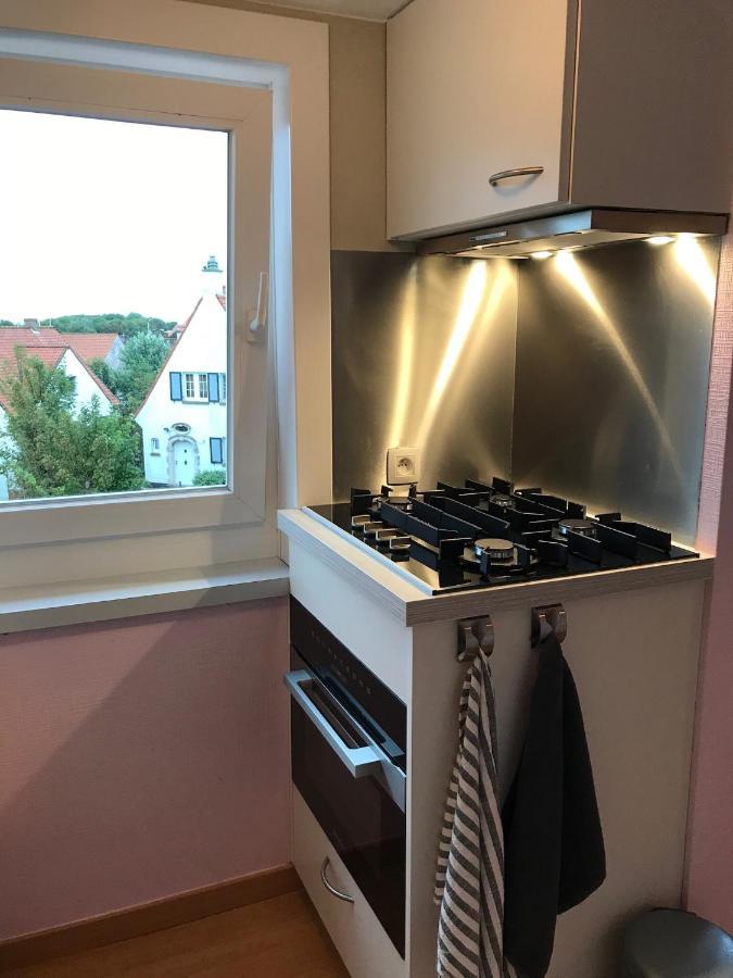 Casa Helena Apartman Nieuwpoort Kültér fotó